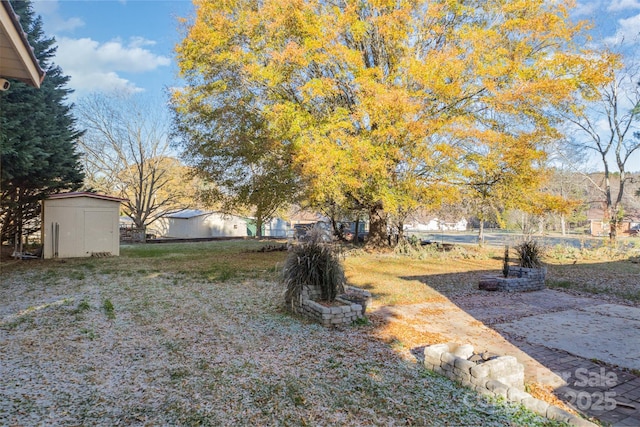 view of yard with a storage shed