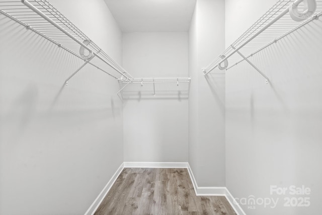 walk in closet with wood-type flooring