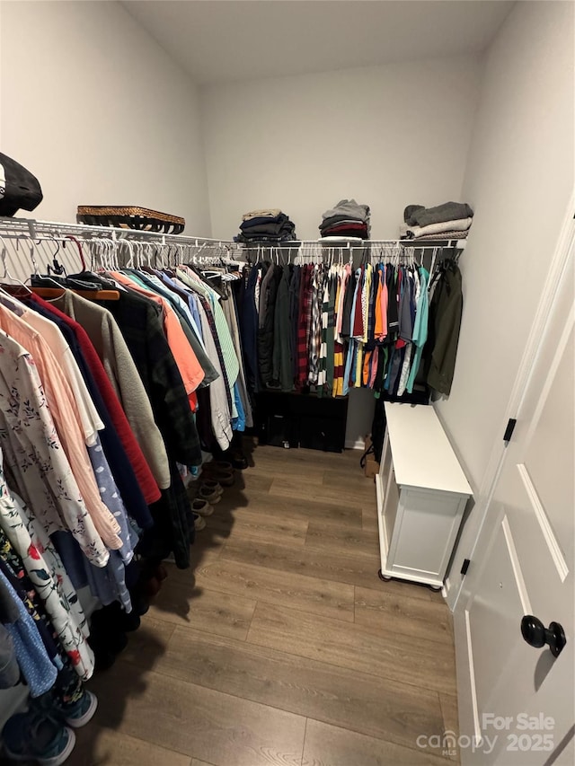 194 Tillery Ln, Mount Gilead, NC 27306 - walk in closet with wood finished floors