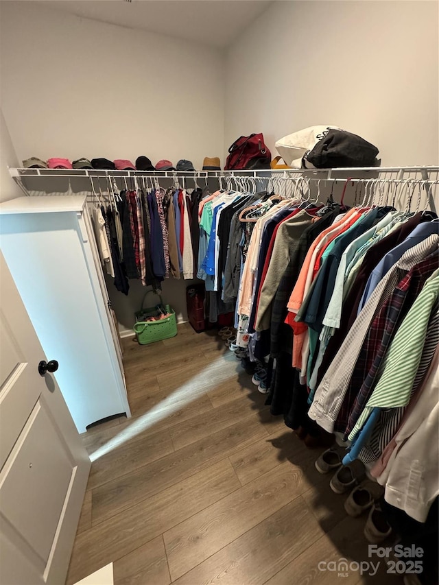 194 Tillery Ln, Mount Gilead, NC 27306 - spacious closet with wood finished floors