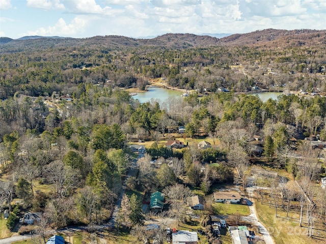 birds eye view of property featuring a water and mountain view