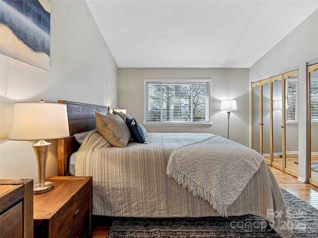 bedroom featuring lofted ceiling, wood-type flooring, and two closets