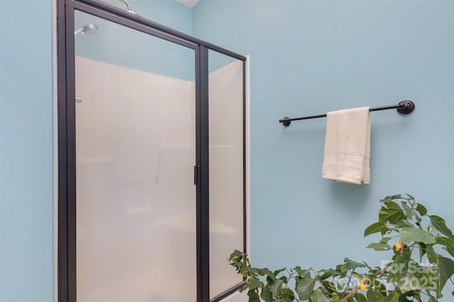 bathroom with a shower with shower door