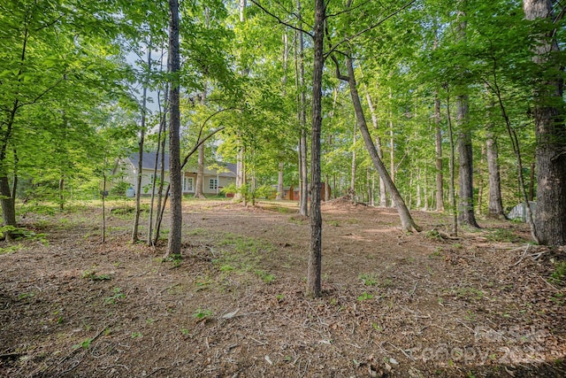 1313 Western Hills Ln, Vale, NC 28168 - view of yard