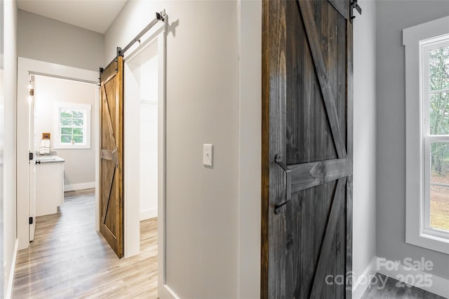 hall featuring light wood-type flooring and a barn door