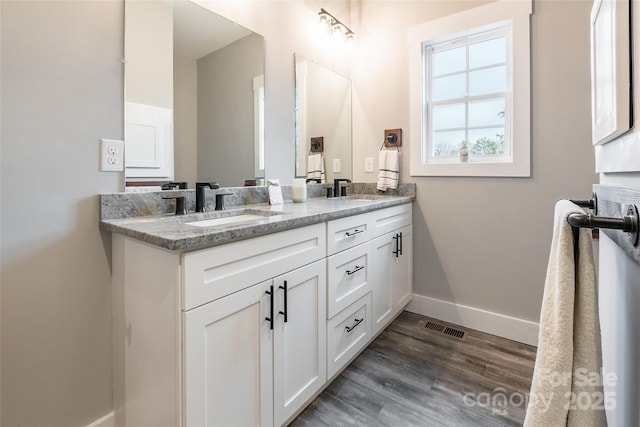 bathroom featuring wood-type flooring and vanity