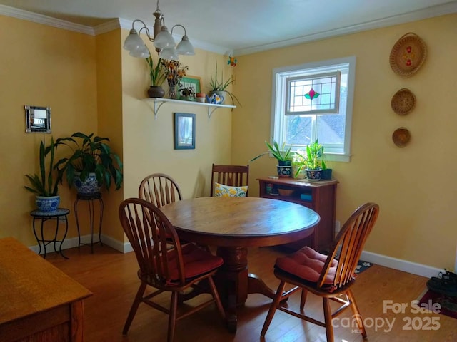 dining room with baseboards, wood finished floors, and crown molding