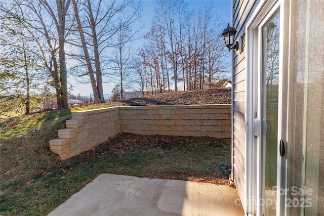 view of yard with a patio area