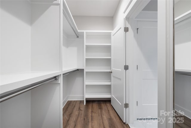 spacious closet featuring dark hardwood / wood-style flooring