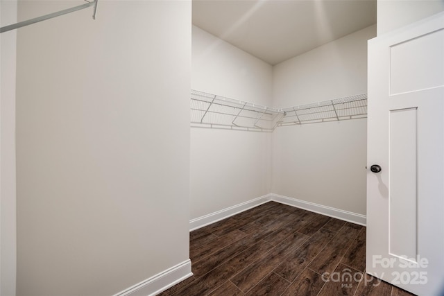 walk in closet featuring dark wood-type flooring