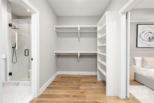 walk in closet featuring wood-type flooring