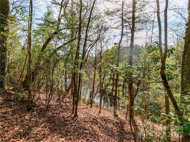 Listing photo 3 for S10 Indian Lake Rd Unit L2, Lake Toxaway NC 28747