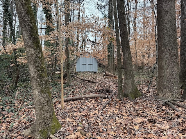 view of yard with a shed