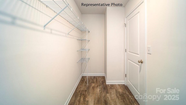 walk in closet with dark hardwood / wood-style floors