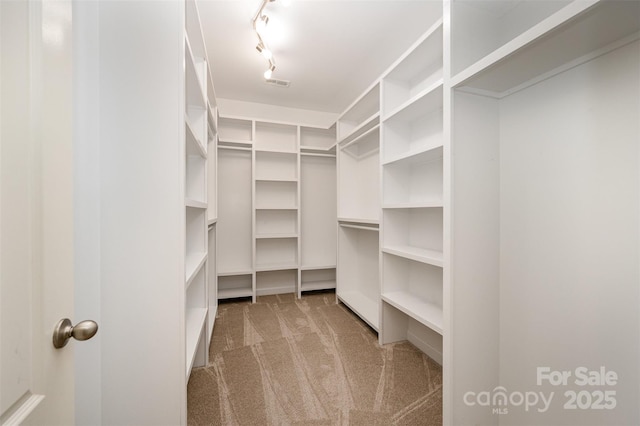 walk in closet featuring carpet floors