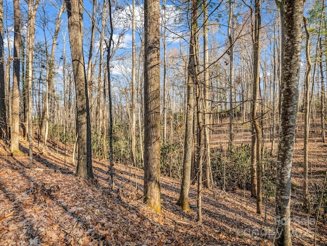 99999 Prestwick Dr Unit 28, Hendersonville, NC 28792 - photo 1