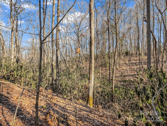 99999 Prestwick Dr Unit 28, Hendersonville, NC 28792 - photo 2