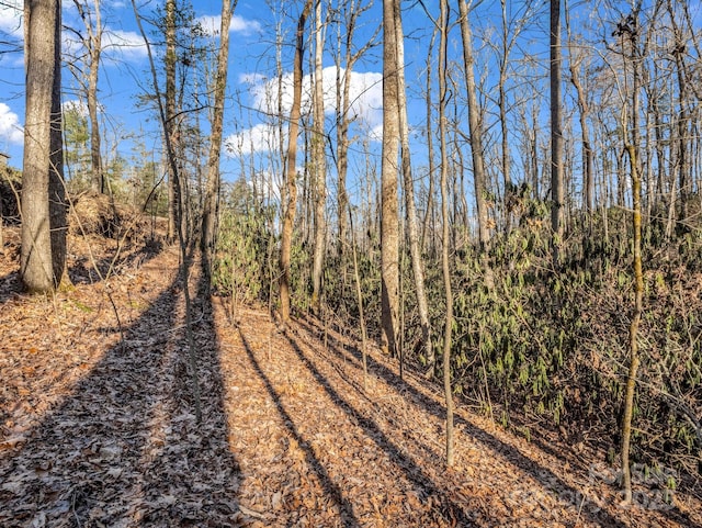 99999 Prestwick Dr Unit 28, Hendersonville, NC 28792 - photo 3