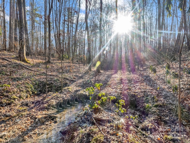 99999 Prestwick Dr Unit 28, Hendersonville, NC 28792 - photo 4