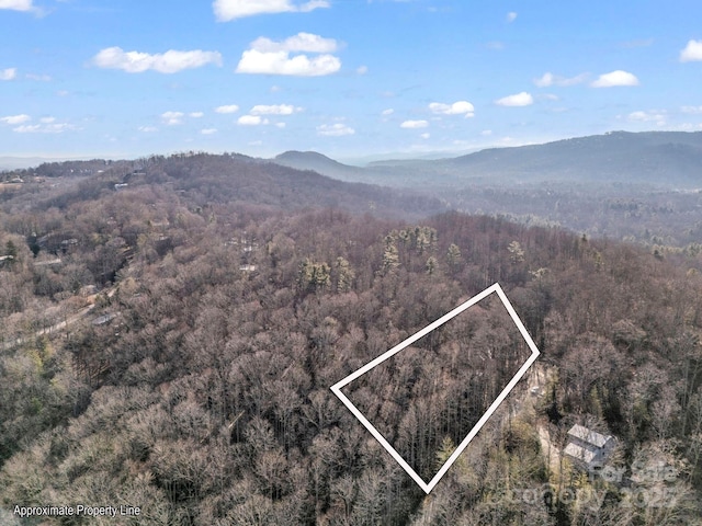 99999 Prestwick Dr Unit 28, Hendersonville, NC 28792 - photo 5