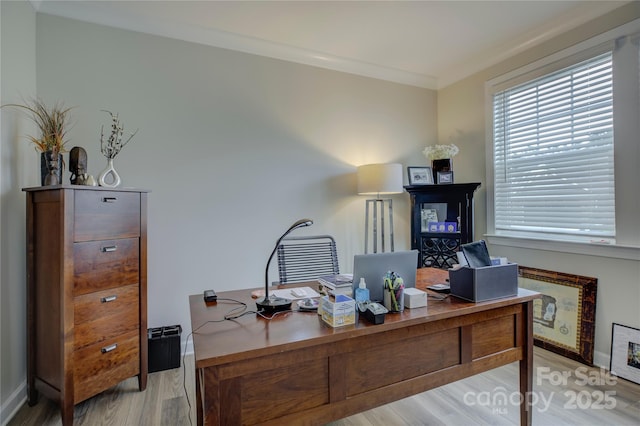 office space with light hardwood / wood-style floors and crown molding