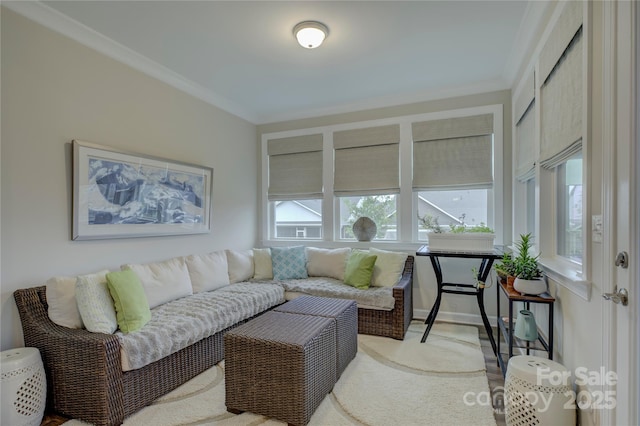 living room featuring ornamental molding