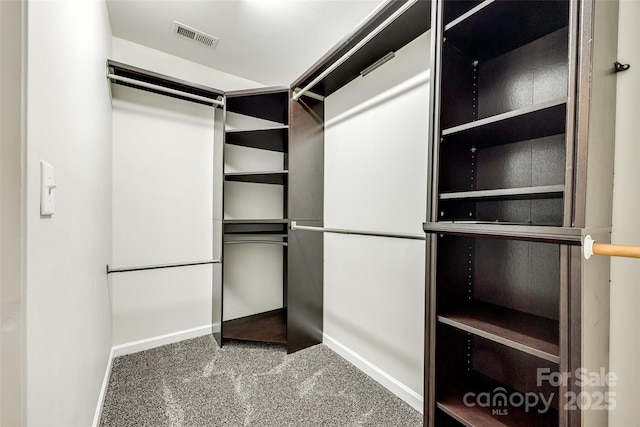 walk in closet featuring carpet floors