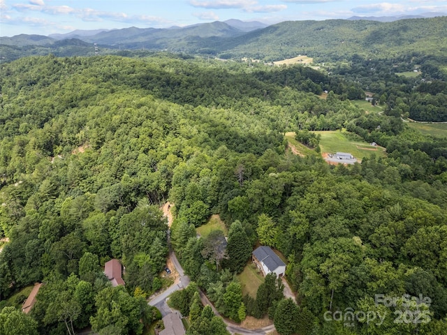 bird's eye view featuring a mountain view