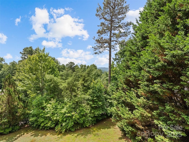 view of local wilderness