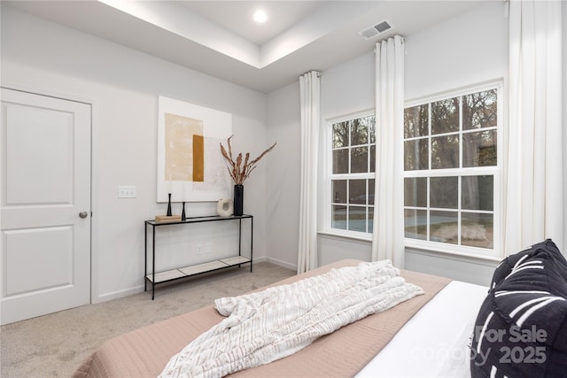 bedroom featuring a raised ceiling and light carpet