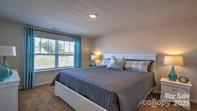 bedroom with carpet flooring