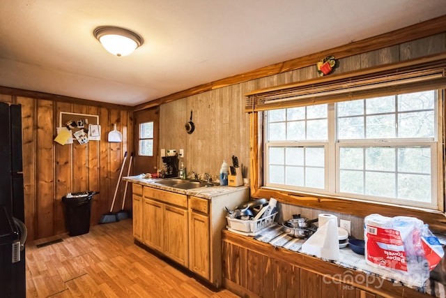 kitchen featuring light wood-type flooring, plenty of natural light, wooden walls, and sink