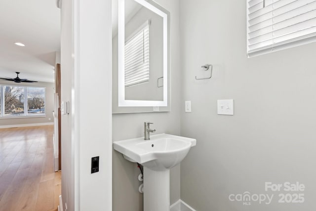 bathroom featuring sink, ceiling fan, and hardwood / wood-style floors