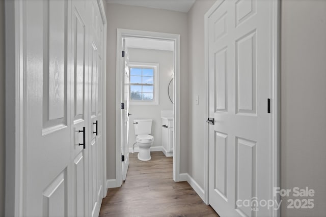 bathroom with hardwood / wood-style flooring and toilet