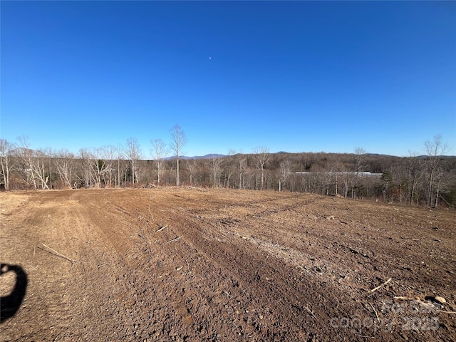 Listing photo 3 for V/L Tatertown Loop Unit 2, Nebo NC 28761