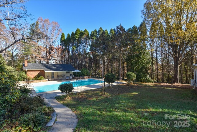 view of pool featuring a yard and a patio