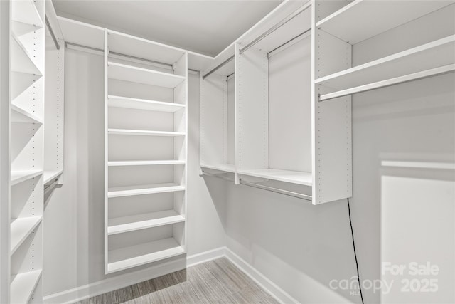 view of walk in closet