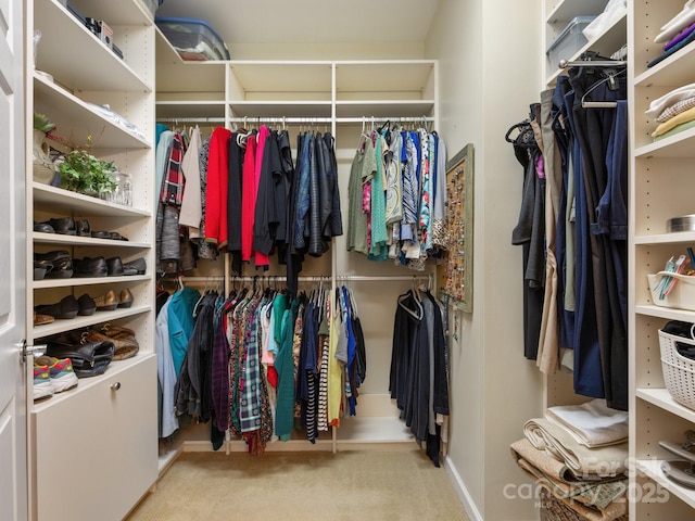 walk in closet featuring light colored carpet