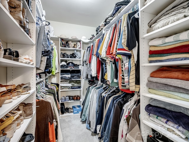 walk in closet with carpet floors