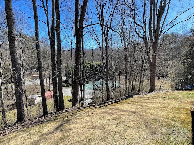 view of yard featuring a view of trees