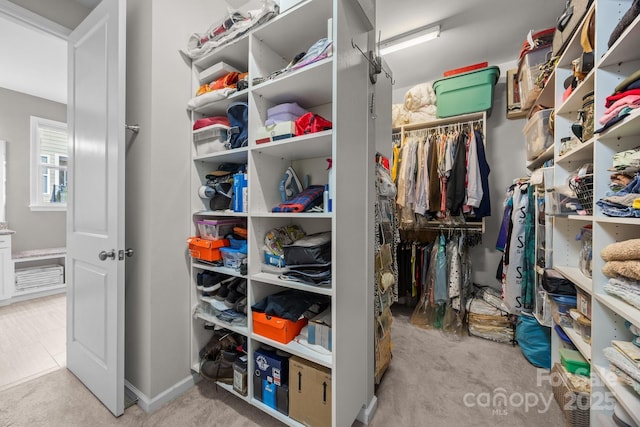 spacious closet with light carpet