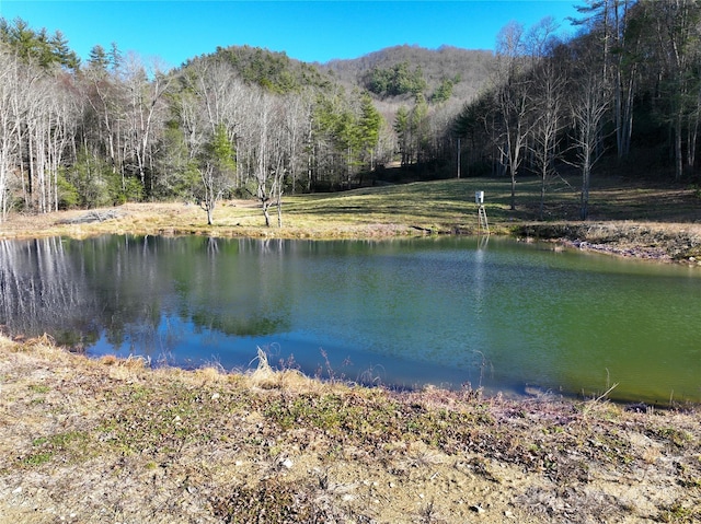 property view of water with a mountain view