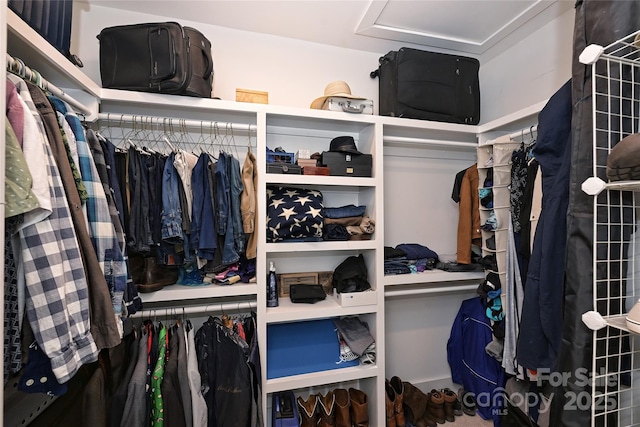 view of spacious closet