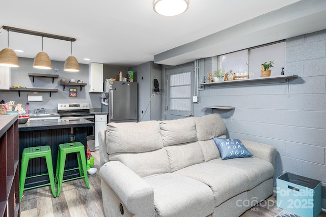 living room featuring light hardwood / wood-style floors and sink