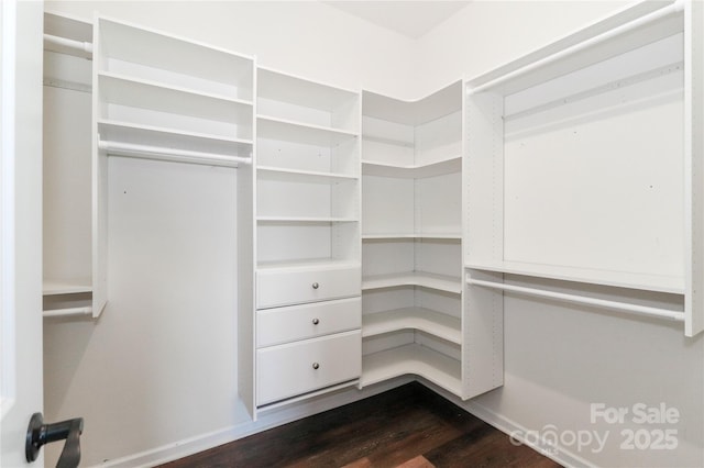 walk in closet featuring dark hardwood / wood-style floors