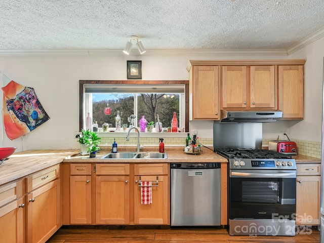 kitchen featuring sink, stainless steel appliances, a textured ceiling, and ornamental molding