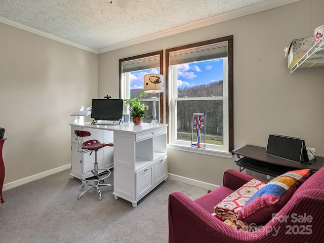 office space featuring a textured ceiling, ornamental molding, and light carpet