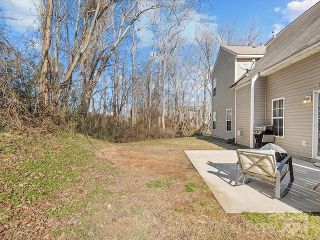 view of yard featuring a patio