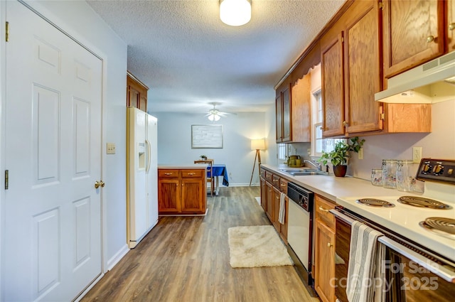 kitchen featuring white appliances, sink, hardwood / wood-style flooring, ceiling fan, and a textured ceiling