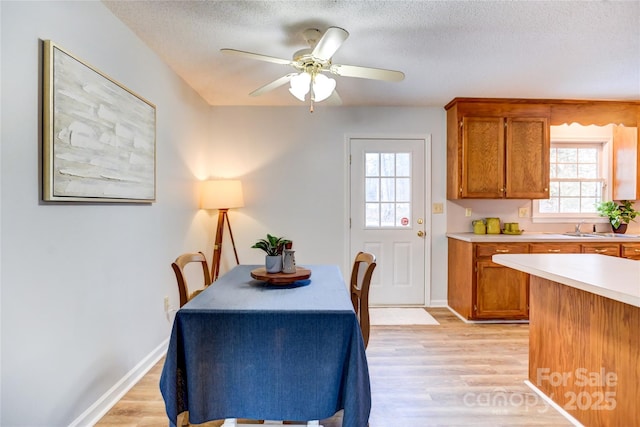 dining area with light hardwood / wood-style flooring, a healthy amount of sunlight, and a textured ceiling